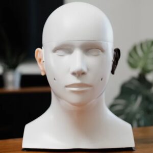 Head & Torso Simulator